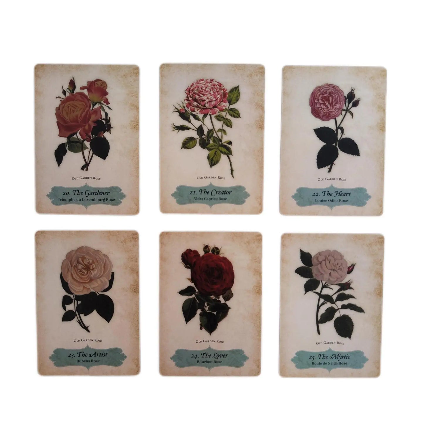 Oracle of The Roses oracle cards board games Family Party Fun Tarots Board Game