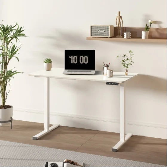Electric Standing Desk 55 X 28 Inches Adjustable Height Home Office Computer Workstation FCJ Sit Stand up Desk