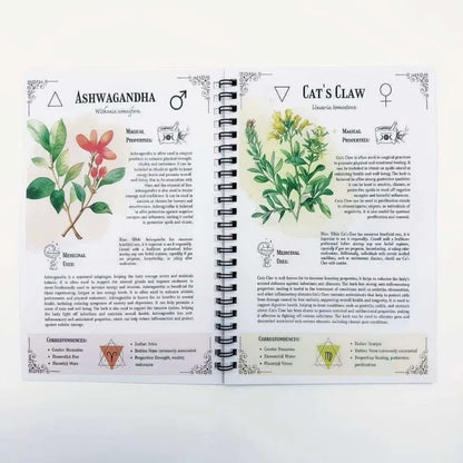 The Amish Natural Family Herbs Herbal Encyclopedia Handbook - Traditional Home Remedies & Herbal Guide Herbal Guide